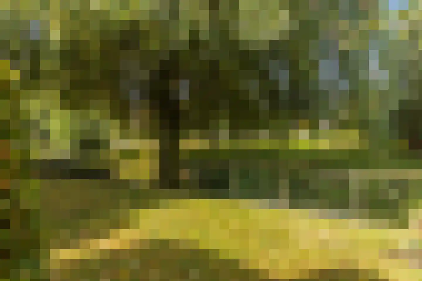 Loodreep 2 Hardinxveld-Giessendam thumbnail 15