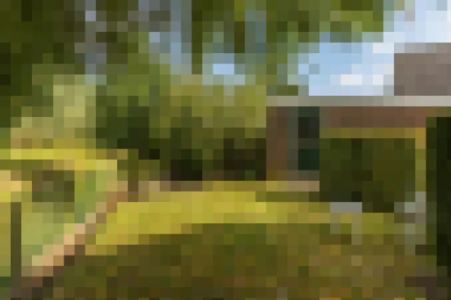 Loodreep 2 Hardinxveld-Giessendam thumbnail 17
