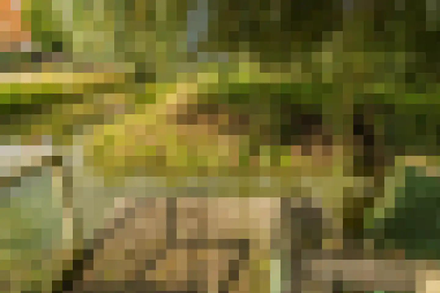 Loodreep 2 Hardinxveld-Giessendam thumbnail 19