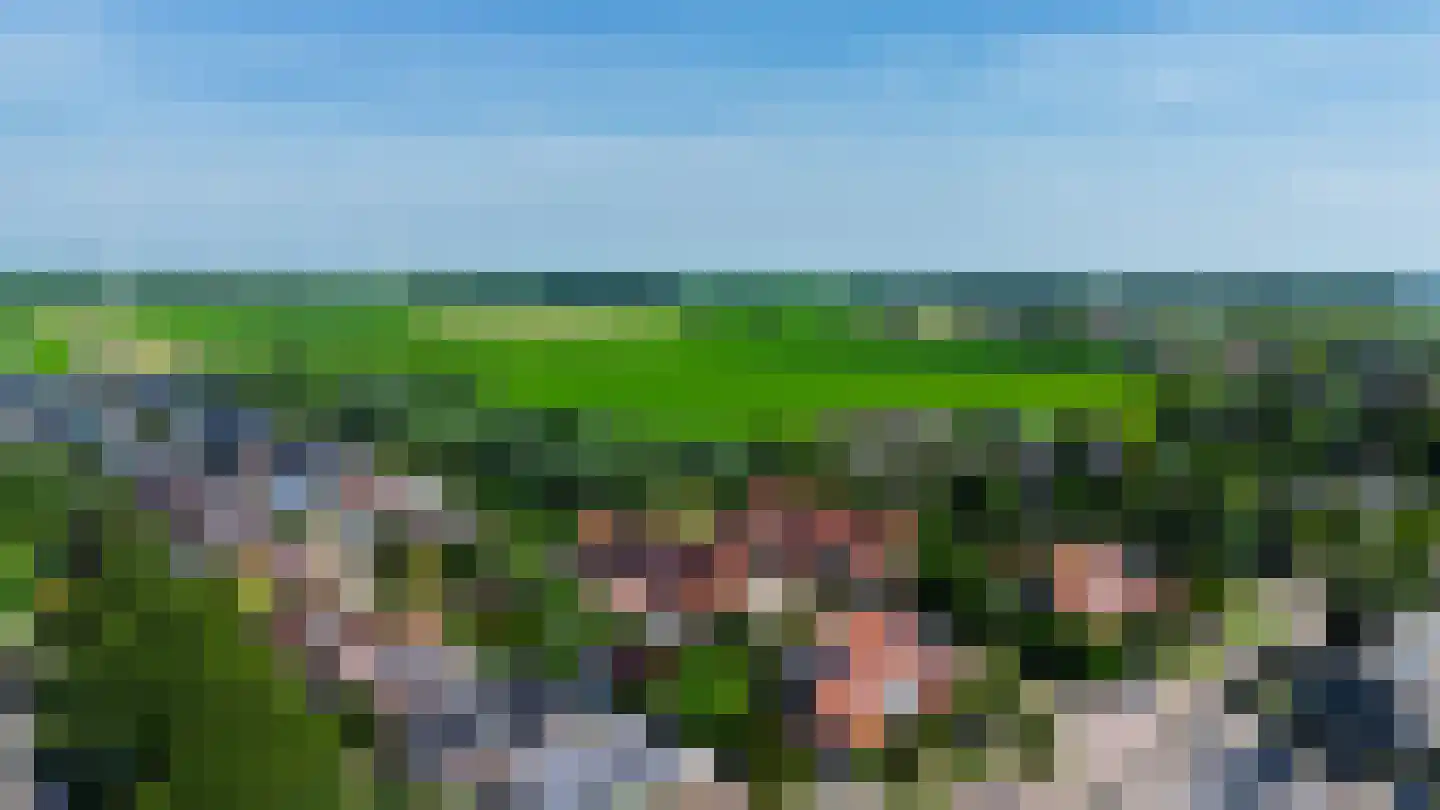 Loodreep 2 Hardinxveld-Giessendam thumbnail 41