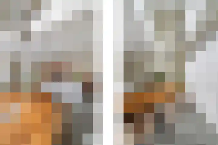 Loods Bali 116 Rotterdam thumbnail 15