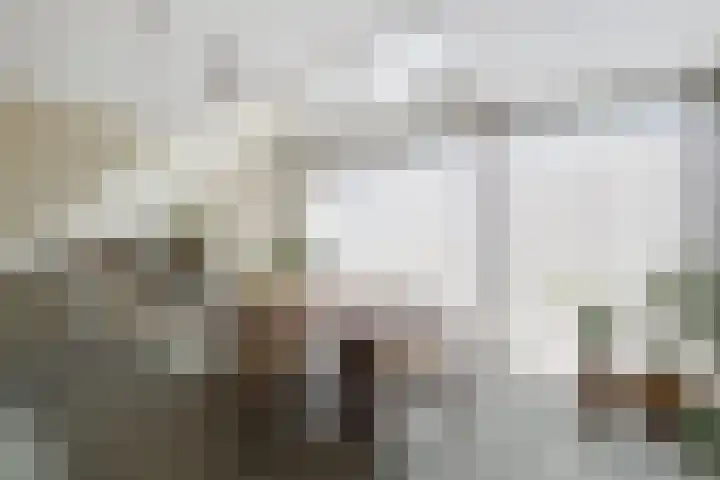 Loods Bali 116 Rotterdam thumbnail 16
