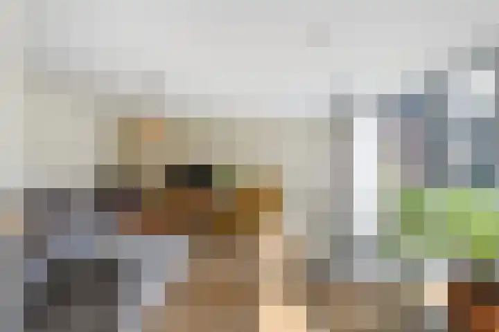 Loods Bali 116 Rotterdam thumbnail 18