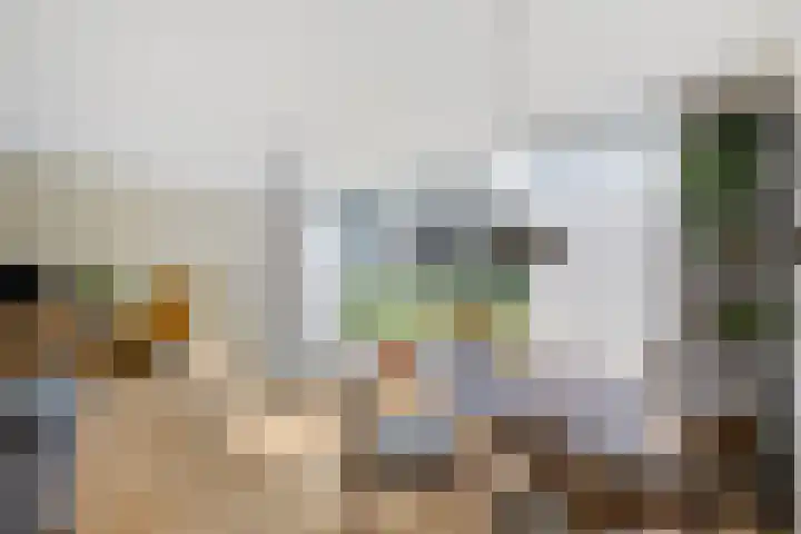 Loods Bali 116 Rotterdam thumbnail 21