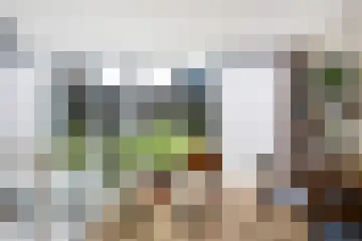Loods Bali 116 Rotterdam thumbnail 22