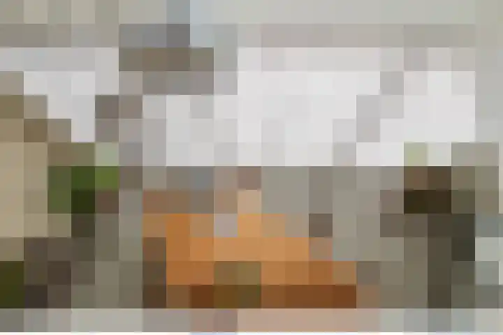 Loods Bali 116 Rotterdam thumbnail 24
