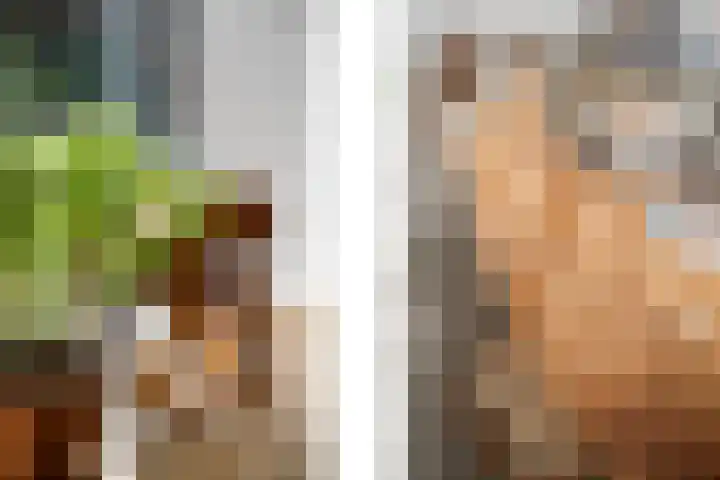 Loods Bali 116 Rotterdam thumbnail 25