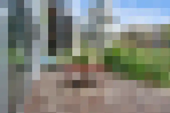 Loods Bali 116 Rotterdam thumbnail 39