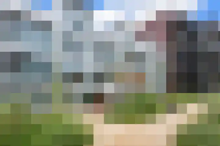 Loods Bali 116 Rotterdam thumbnail 42
