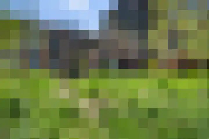Loods Bali 116 Rotterdam thumbnail 43