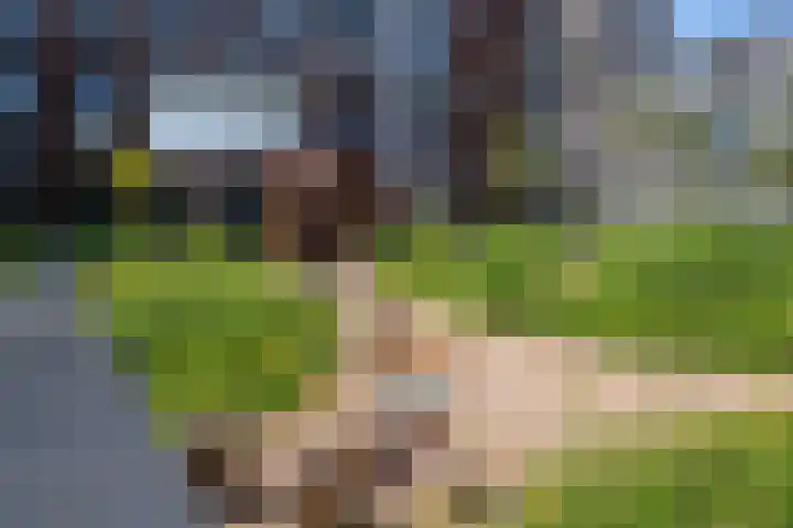 Loods Bali 116 Rotterdam thumbnail 44