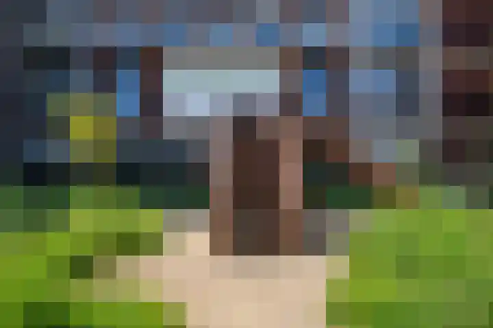 Loods Bali 116 Rotterdam thumbnail 45