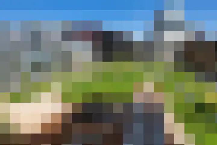 Loods Bali 116 Rotterdam thumbnail 48