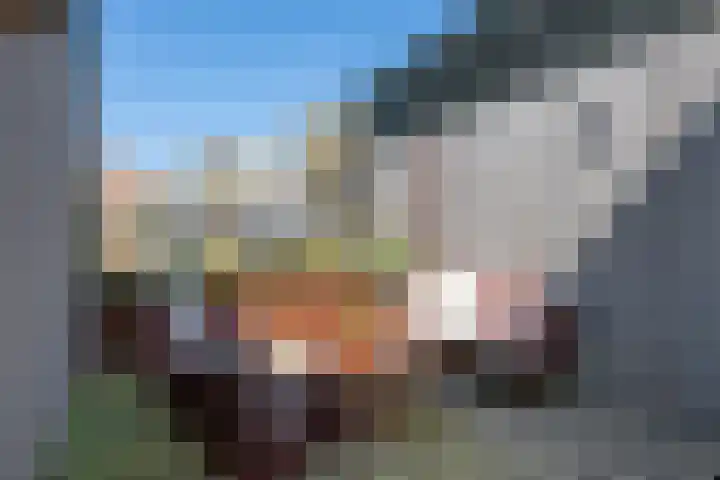 Loods Bali 116 Rotterdam thumbnail 5