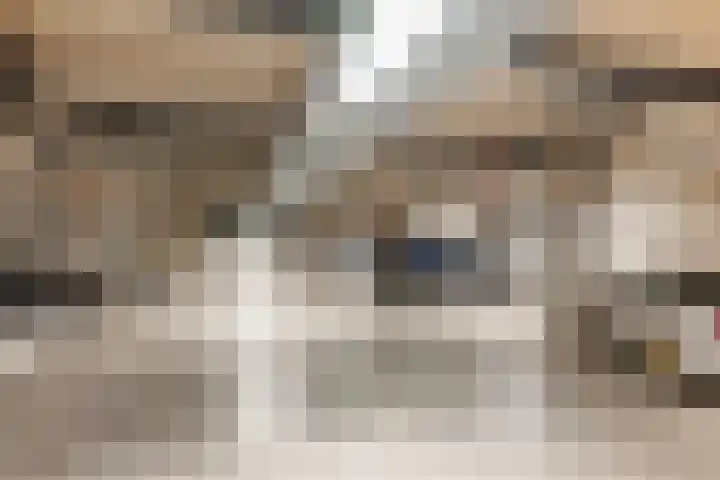 Loods Bali 116 Rotterdam thumbnail 50