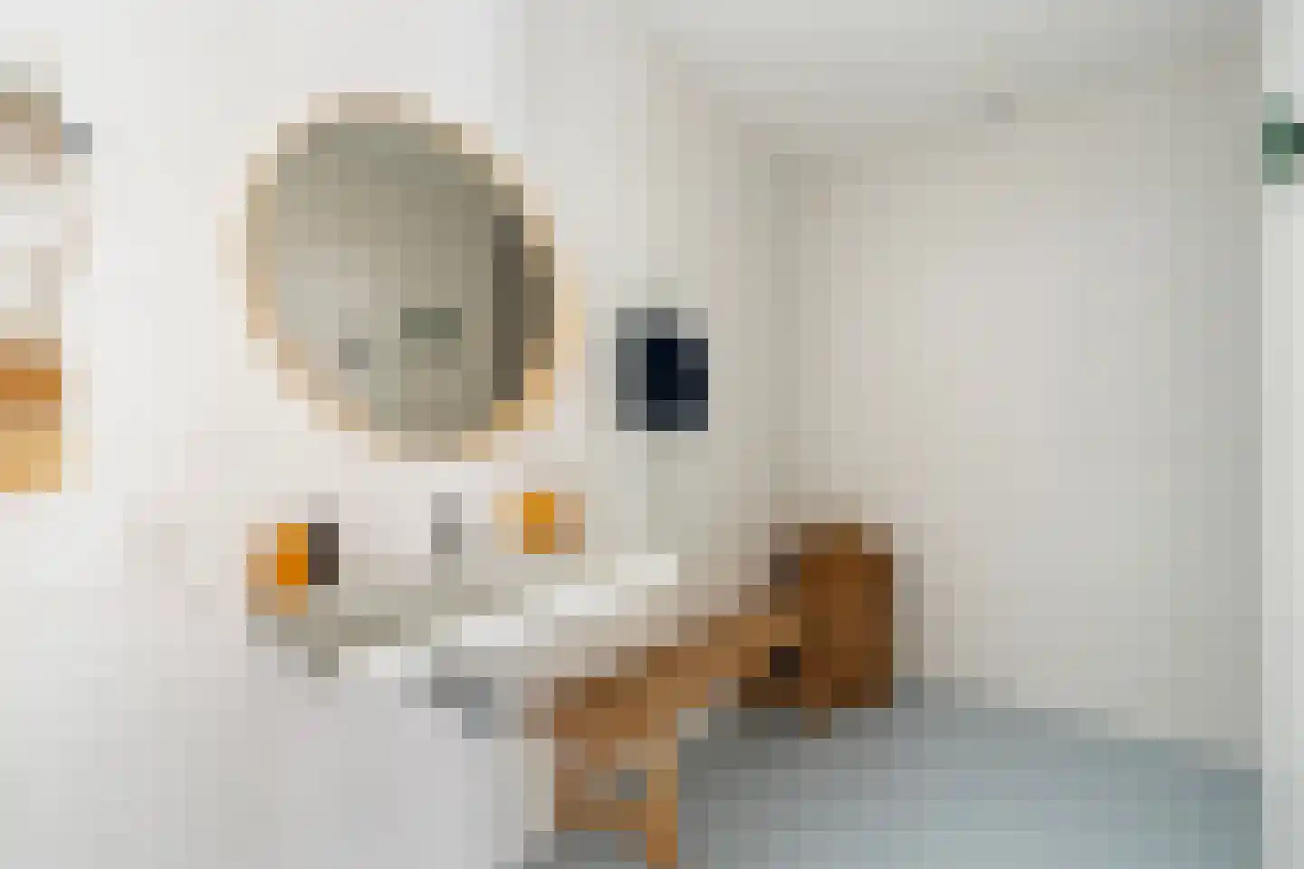 Loods Bali 25 Rotterdam thumbnail 48