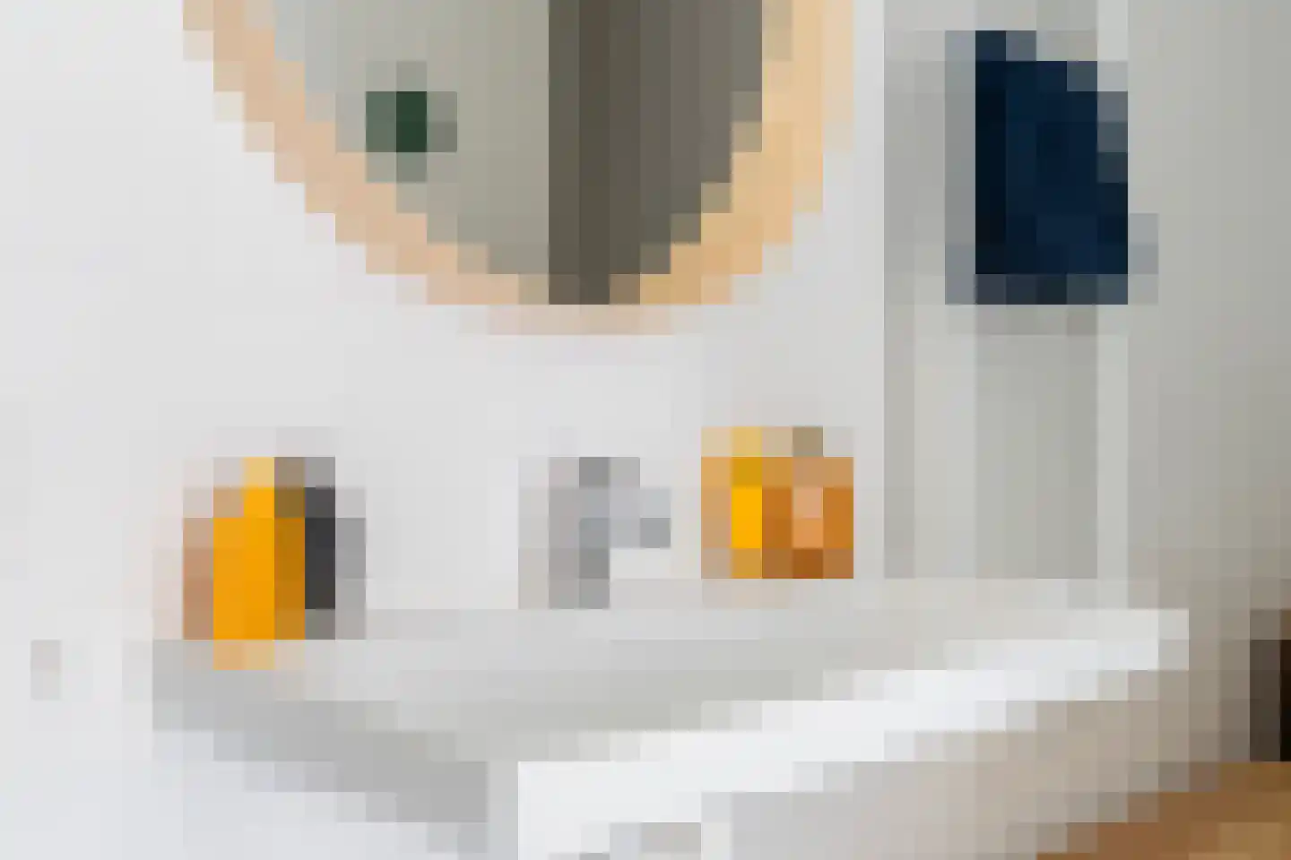 Loods Bali 25 Rotterdam thumbnail 50