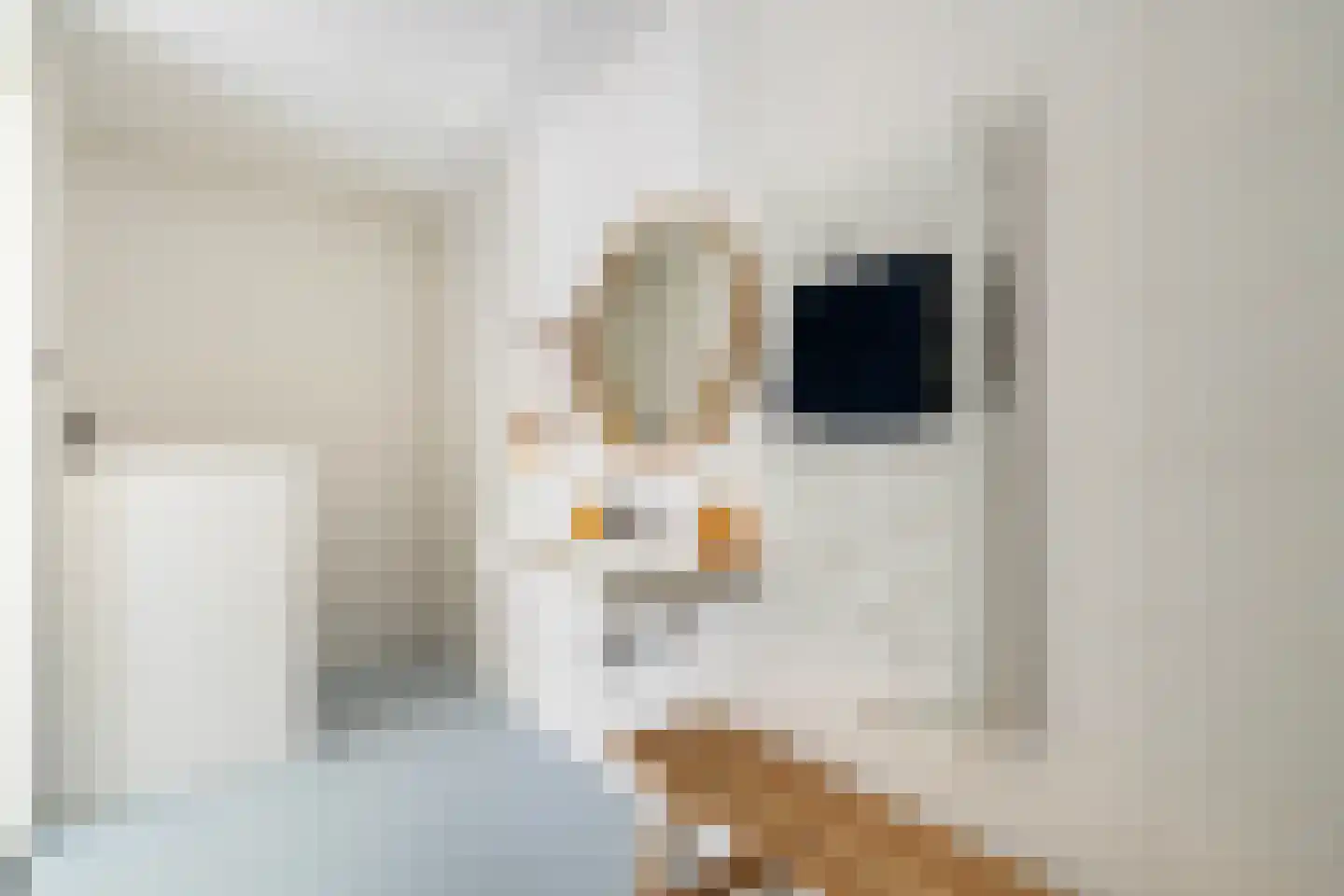 Loods Bali 25 Rotterdam thumbnail 55