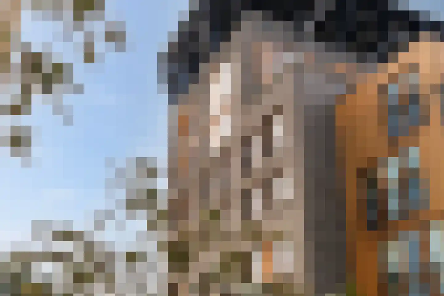 Loods Bali 25 Rotterdam thumbnail 76