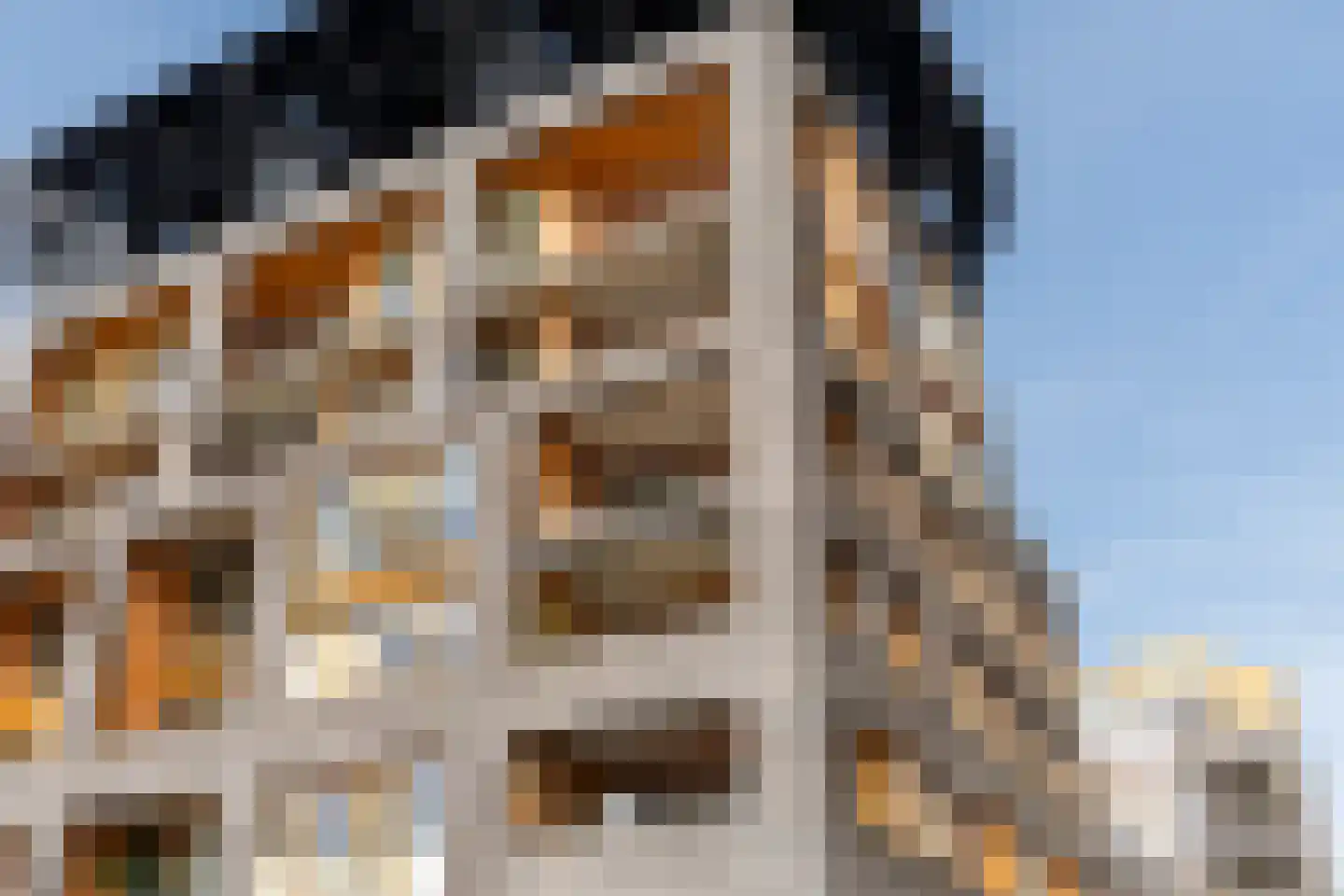 Loods Bali 25 Rotterdam thumbnail 77