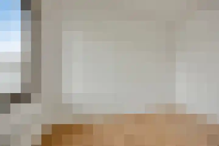 Loods Holland 1 Rotterdam thumbnail 14