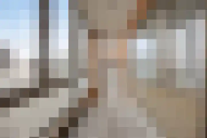 Loods Holland 1 Rotterdam thumbnail 15