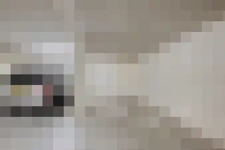 Loods Holland 1 Rotterdam thumbnail 22