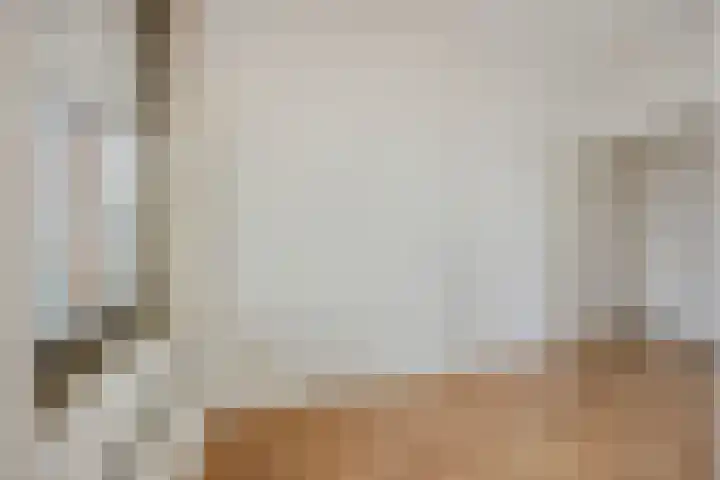 Loods Holland 1 Rotterdam thumbnail 9