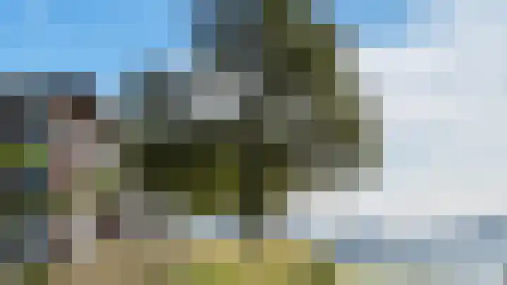 Loods Holland 22 Rotterdam thumbnail 17