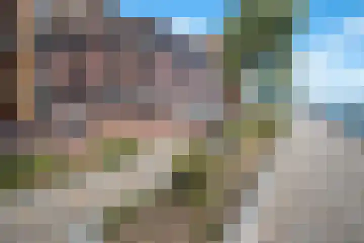 Loods Holland 36 in Rotterdam