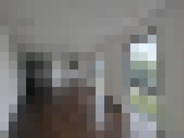 Loods Holland 36 Rotterdam thumbnail 4