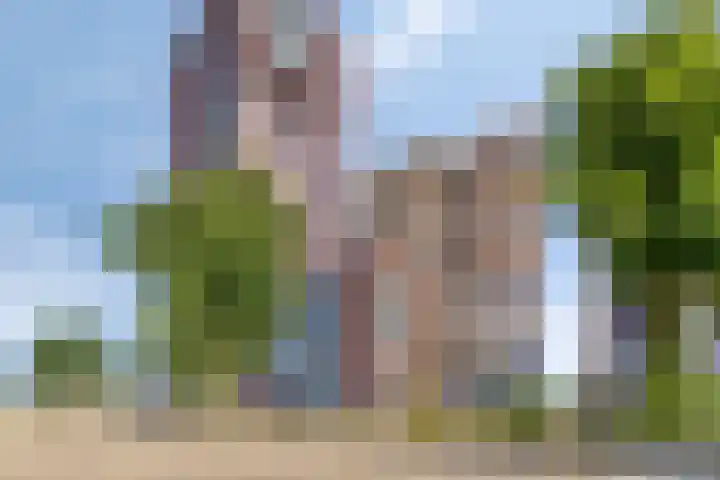 Loods Holland 45 in Rotterdam