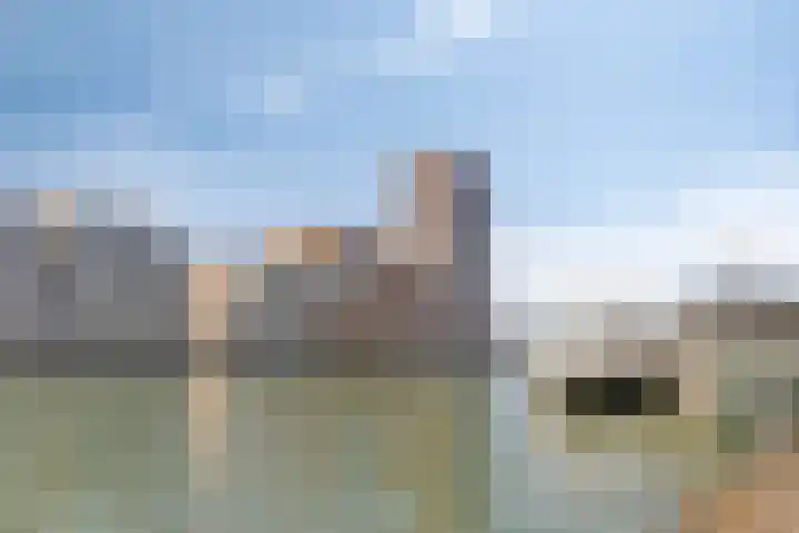 Loods Holland 45 Rotterdam thumbnail 5