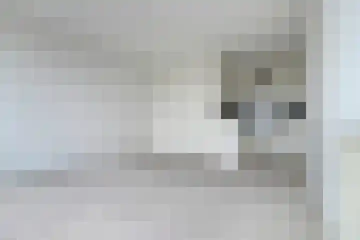 Loods Holland 7 Rotterdam thumbnail 13