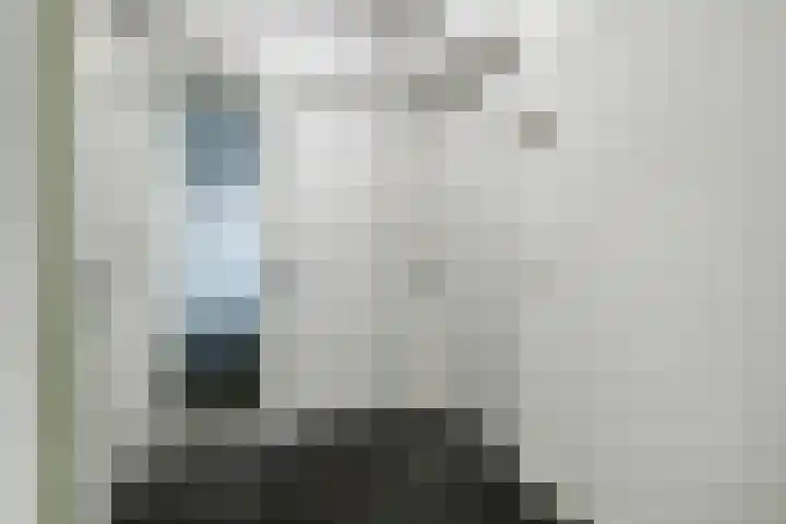 Loods Holland 7 Rotterdam thumbnail 6