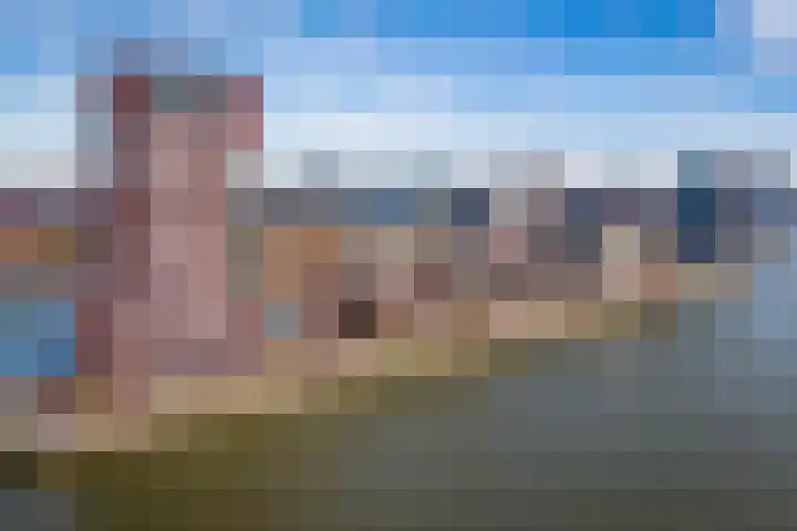 Loods Holland 8 in Rotterdam