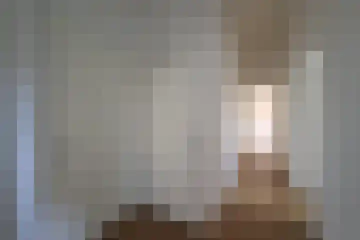 Loods Holland 8 Rotterdam thumbnail 13