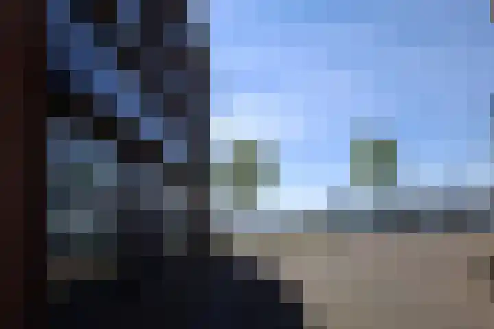 Loods Holland 8 Rotterdam thumbnail 17