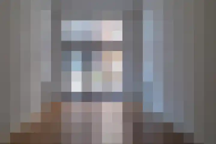 Loods Holland 8 Rotterdam thumbnail 4