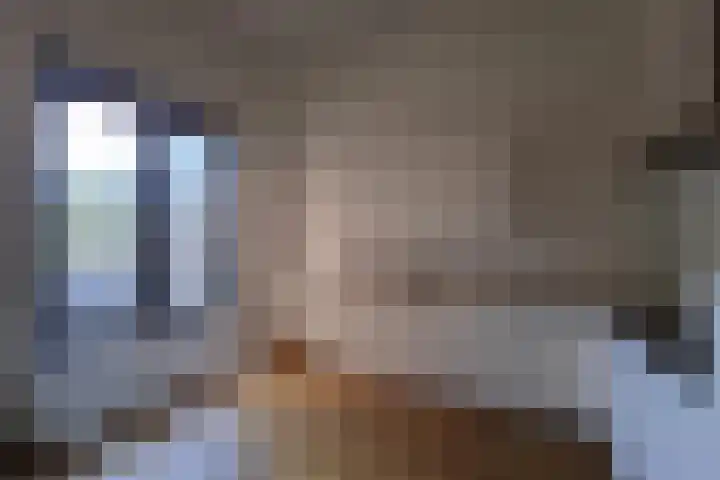 Loods Holland 8 Rotterdam thumbnail 7