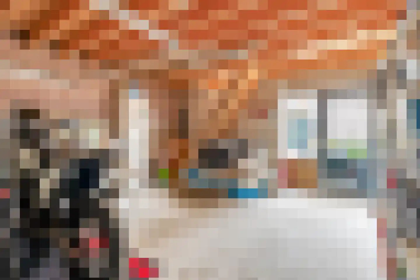 Loodsgracht 21 Den Helder thumbnail 47