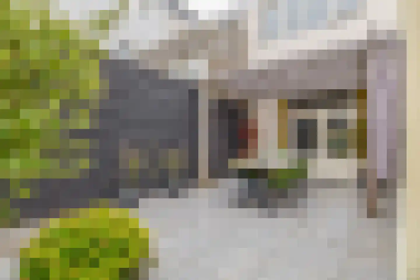 Loodsgracht 55 Den Helder thumbnail 12