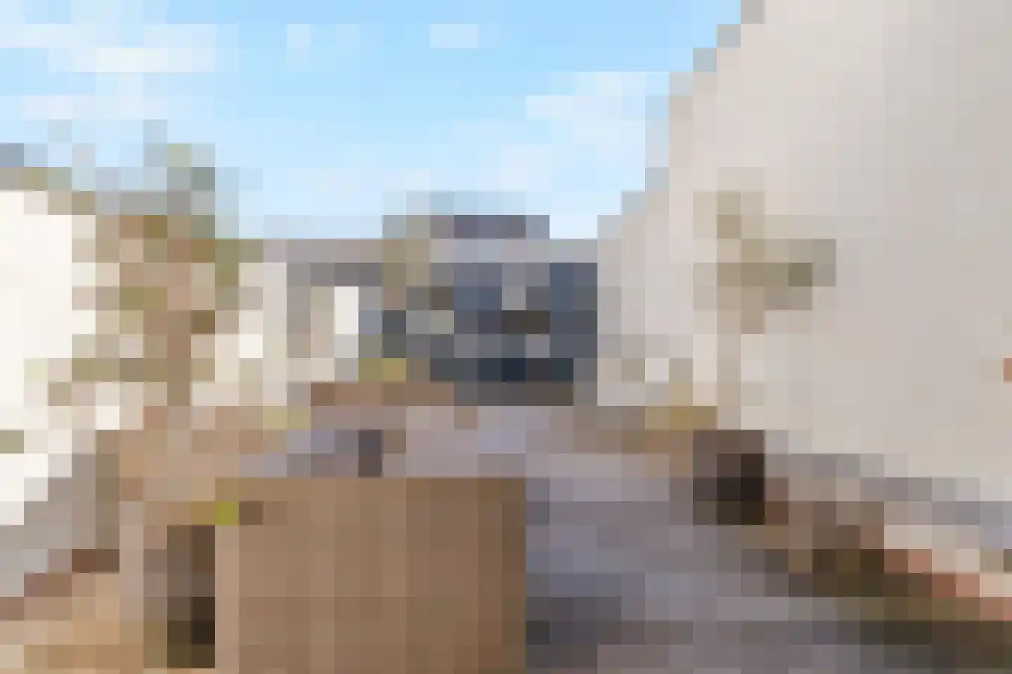 Loodsgracht 71 Den Helder thumbnail 13