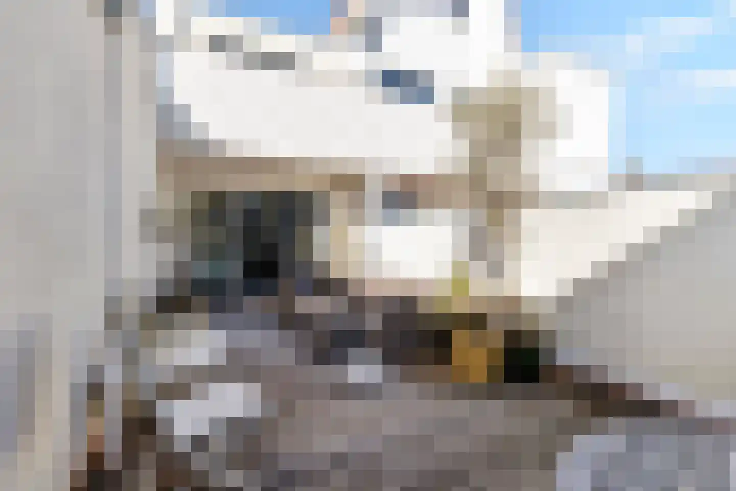Loodsgracht 71 Den Helder thumbnail 14
