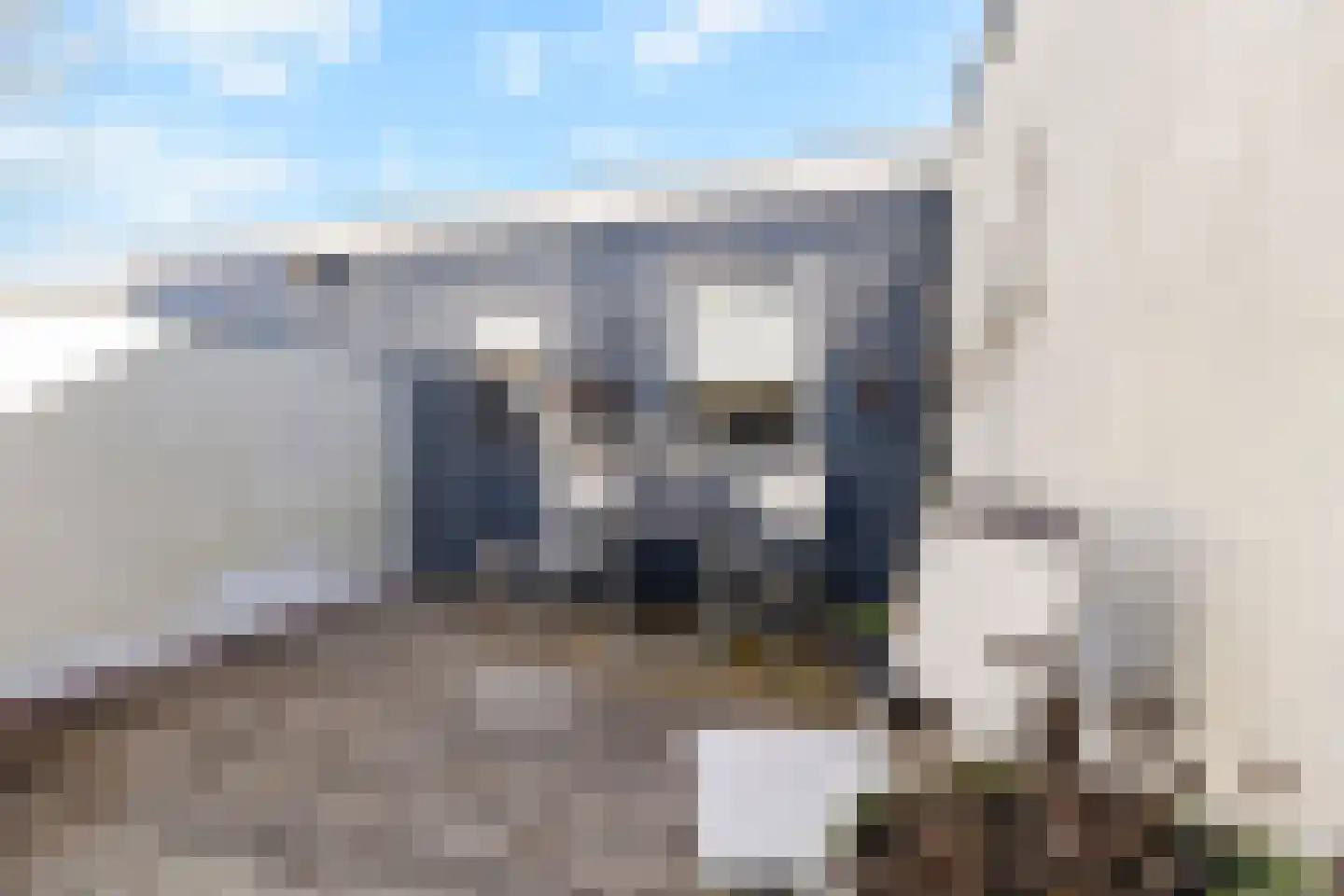 Loodsgracht 71 Den Helder thumbnail 15