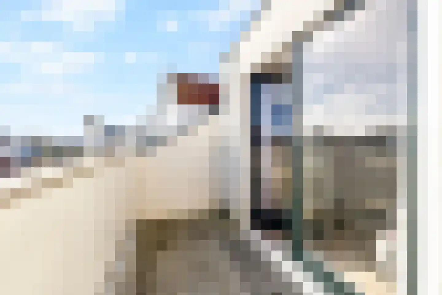 Loodsgracht 71 Den Helder thumbnail 21