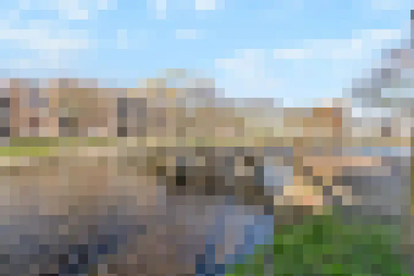 Loodsgracht 71 Den Helder thumbnail 30