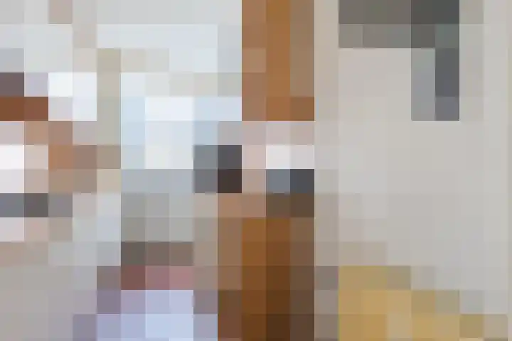 Loodskotterhof 18 Amsterdam thumbnail 21