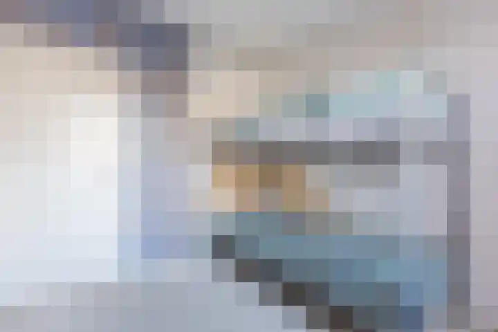 Loodskotterhof 18 Amsterdam thumbnail 30