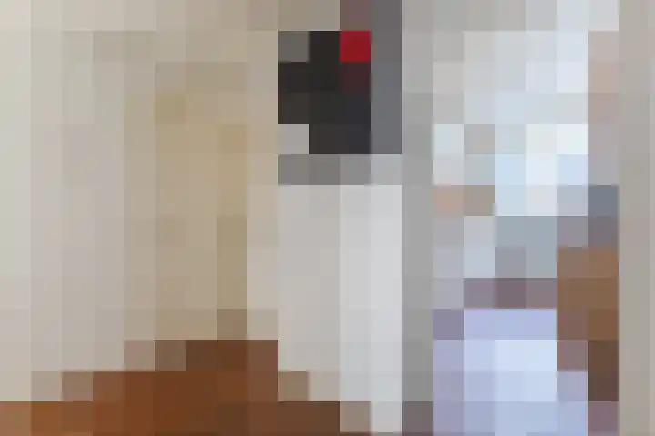 Loodskotterhof 18 Amsterdam thumbnail 35